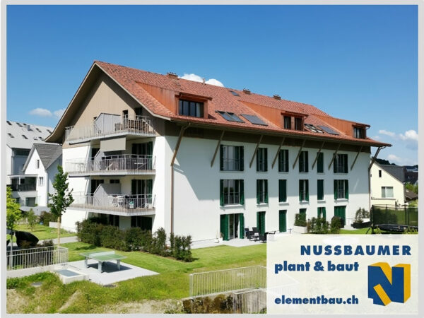 Chamstrasse, Knonau