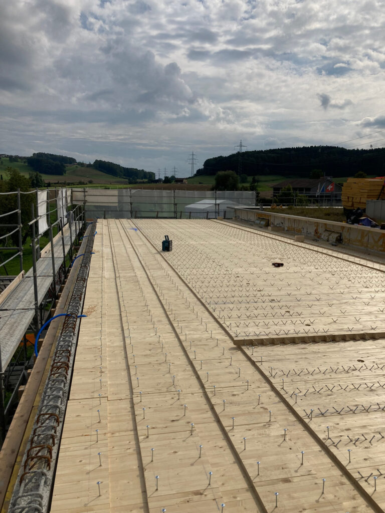Schulhaus Nasenmatt, Aesch