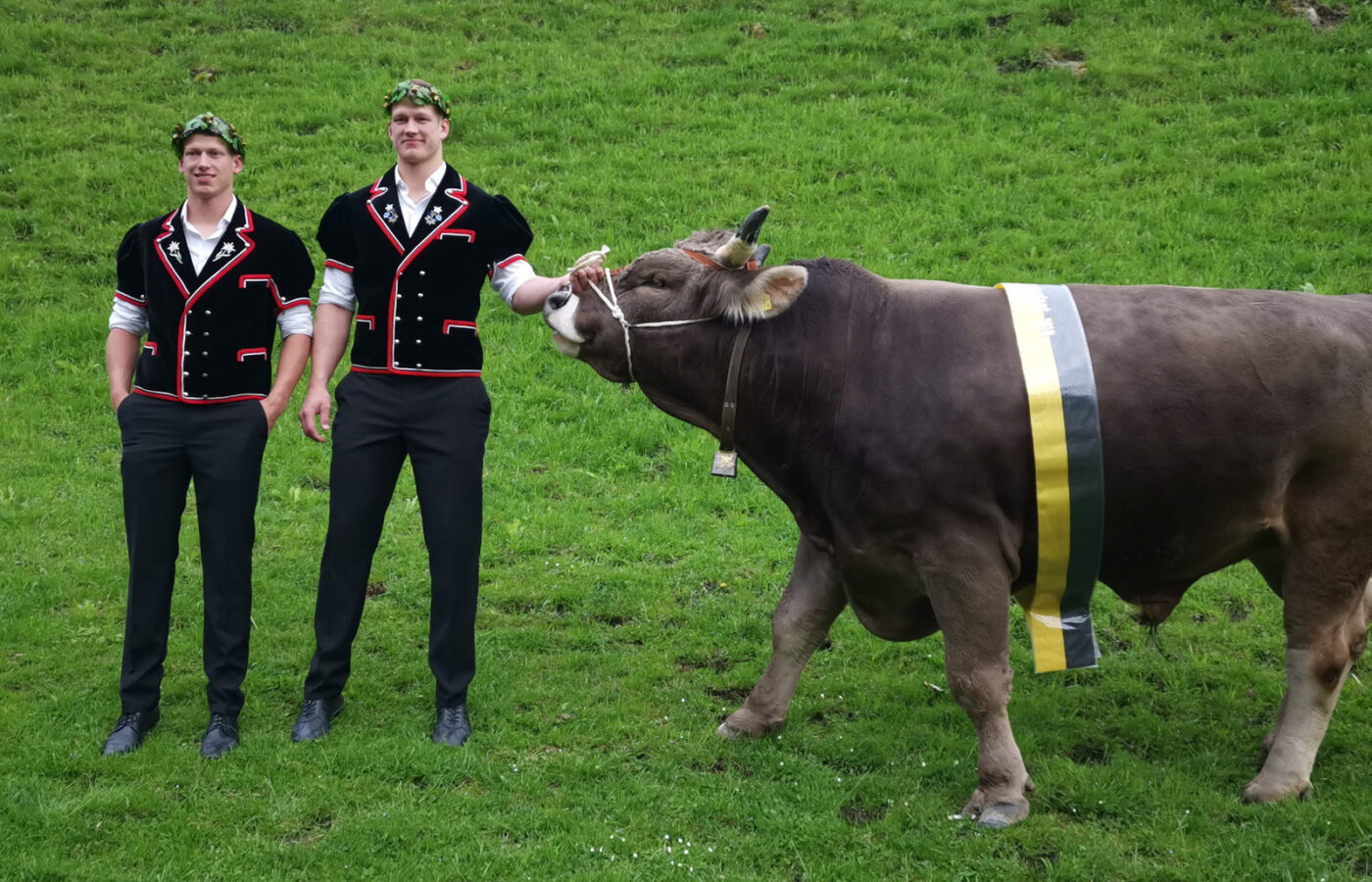 Urner Kant. Schwingfest vom 12.05.19